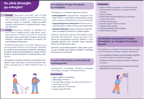 leaflet strengthens coordination between hospitals, rehabilitation teams, and P&O providers – ensuring timely and equitable access to assistive devices for individuals with limb loss.