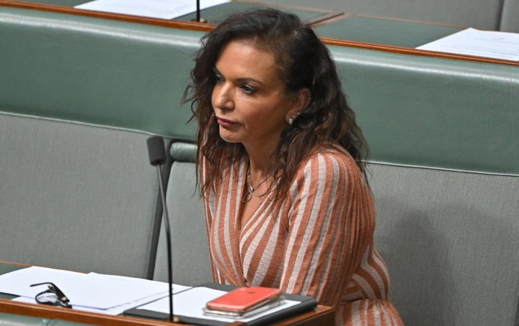 Minister for International Development the Hon Dr Anne Aly.